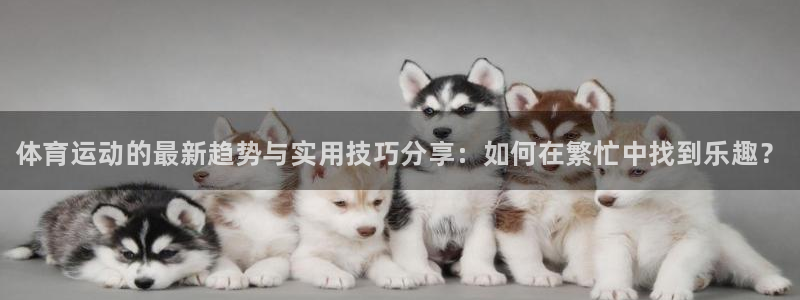 JJB竞技宝官方正版app新能源：体育运动的最新趋势
