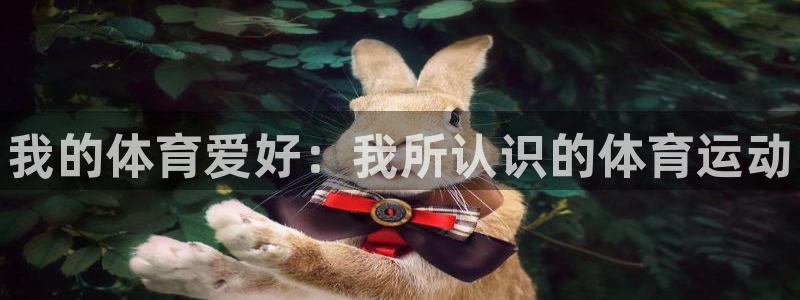 JJB竞技宝官方正版app官方：我的体育爱好：我所认