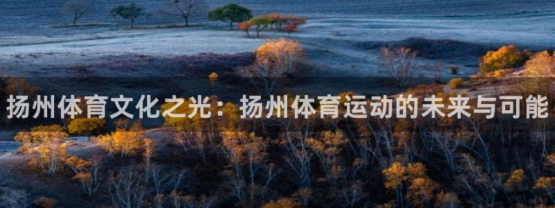 JJB竞技宝官网下载平台是正规平台吗：扬州体育文化之