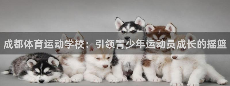 JJB竞技宝官网下载娱乐：成都体育运动学校：引领青少
