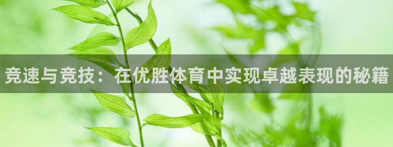 JJB竞技宝官方正版app娱乐代理怎么样：竞速与竞技