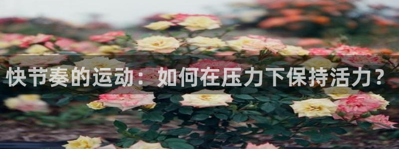 JJB竞技宝官网下载平台假的吗是真的吗吗：快节奏的运