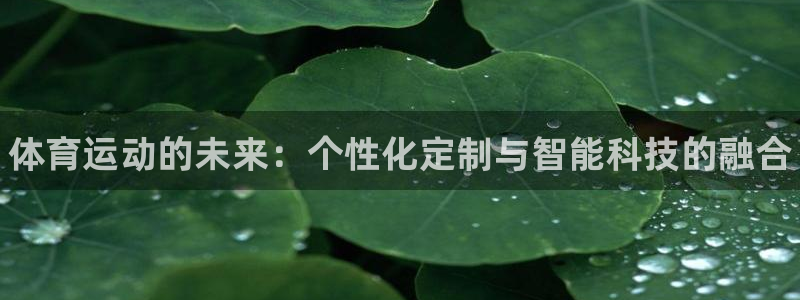 JJB竞技宝官方正版app集团logo：体育运动的未来：个性