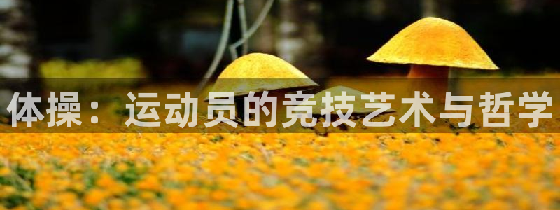 JJB竞技宝官网下载招商电话地址是多少