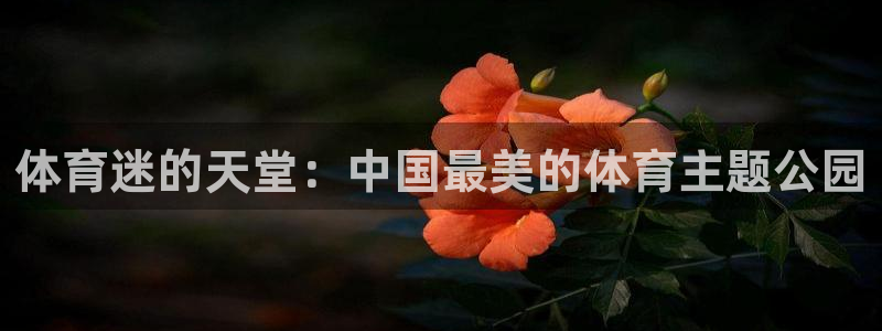 JJB竞技宝官网下载招商电话是多少：体育迷的天堂：中国最美的