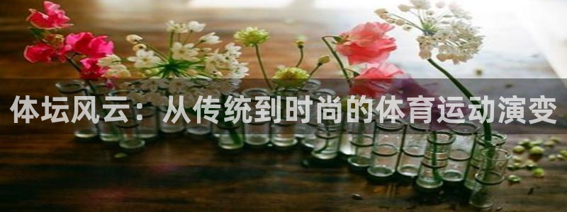 JJB竞技宝官网下载平台：体坛风云：从传统到时尚的体