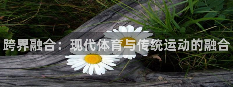 JJB竞技宝官方正版app新能源：跨界融合：现代体育