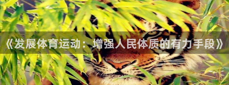 JJB竞技宝官方正版app代理：《发展体育运动：增强
