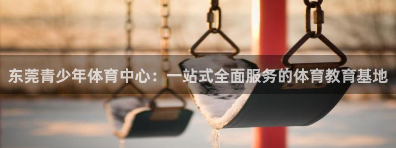JJB竞技宝官网下载招商：东莞青少年体育中心：一站式全面服务