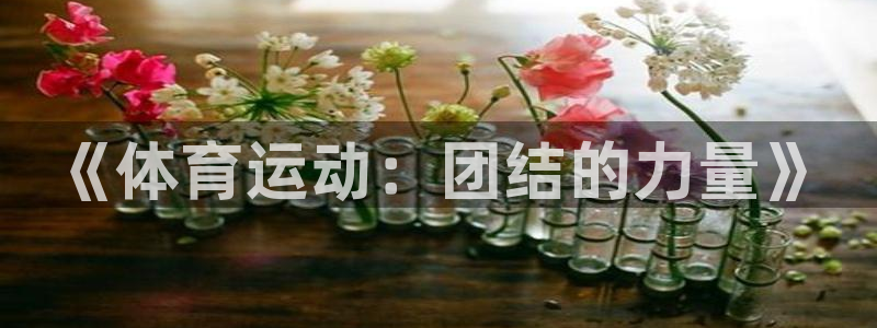 JJB竞技宝官方正版app科技：《体育运动：团结的力量》