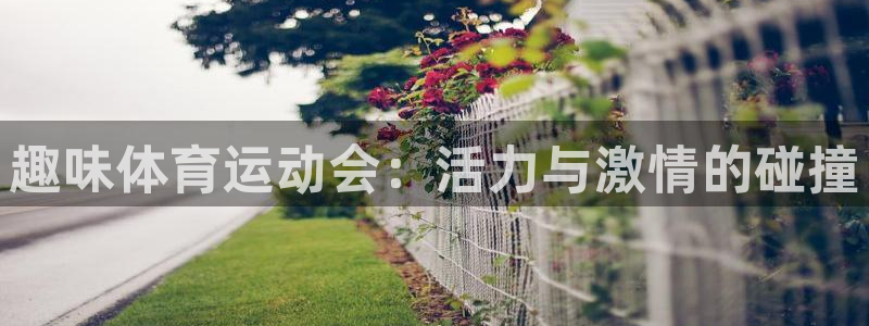 JJB竞技宝官方正版app新能源：趣味体育运动会：活力与激情
