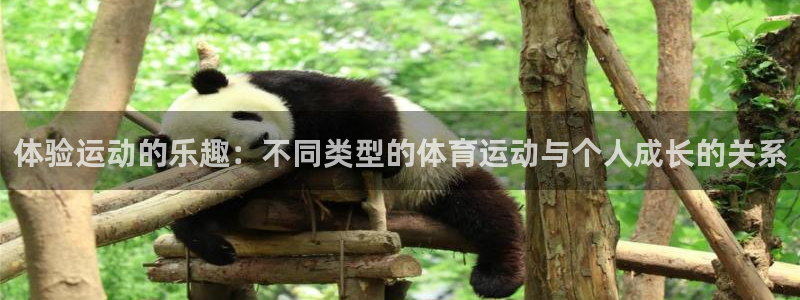 JJB竞技宝官方正版app官方：体验运动的乐趣：不同