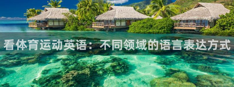 JJB竞技宝官方正版app科技：看体育运动英语：不同领域的语